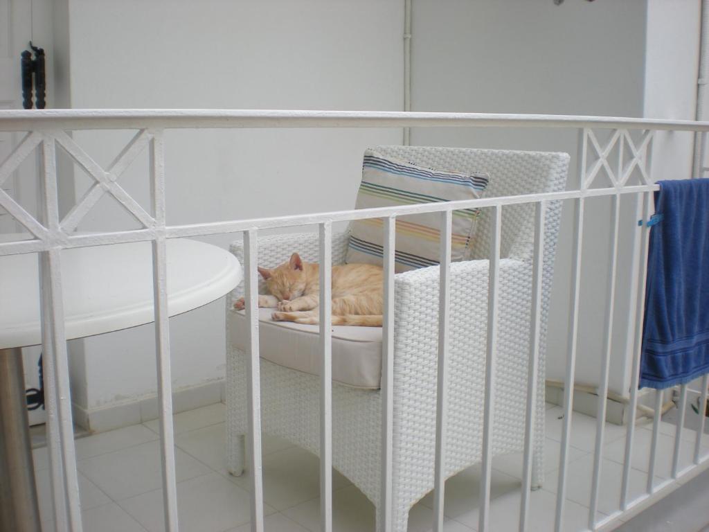スキアトスタウン Manolis' Houseアパートホテル 部屋 写真